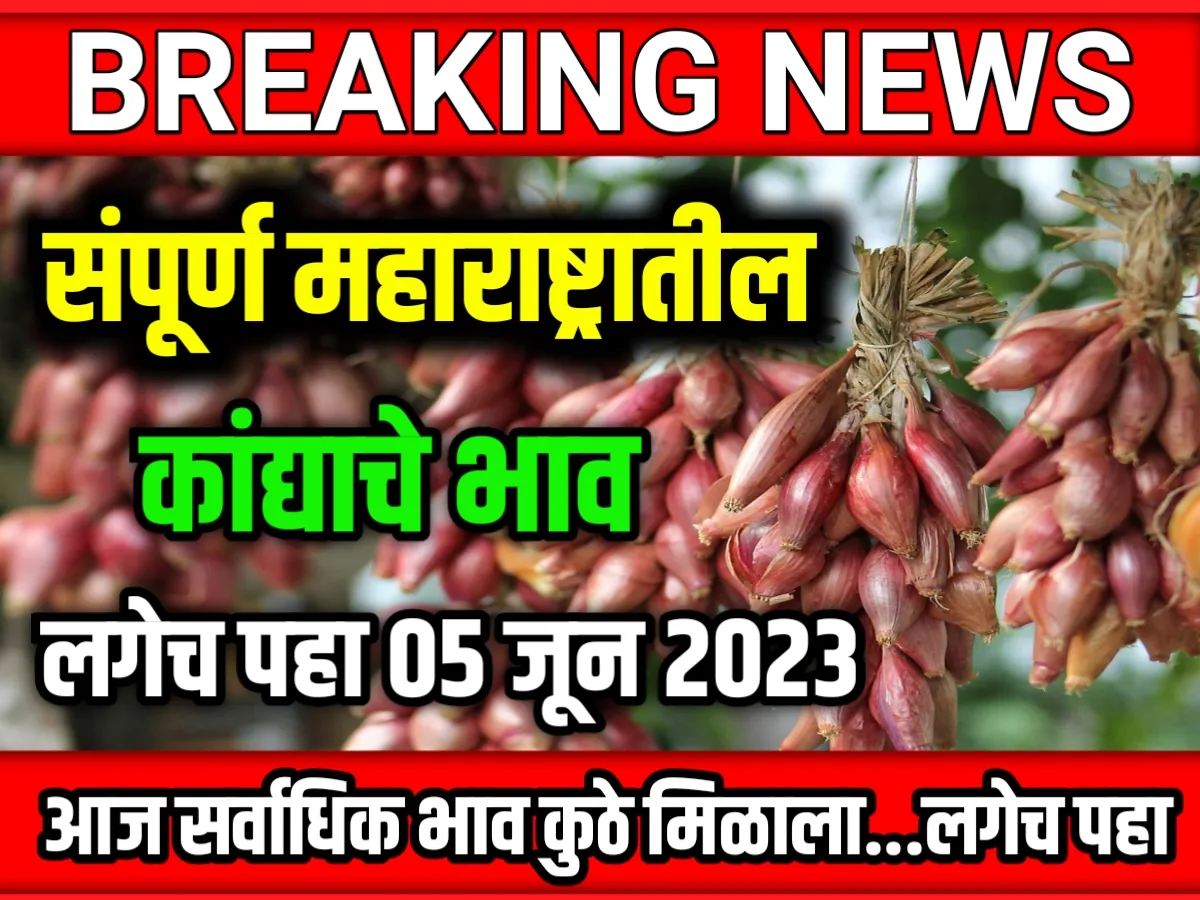 Onions Rate : आजचे कांद्याचे भाव 05 जून 2023