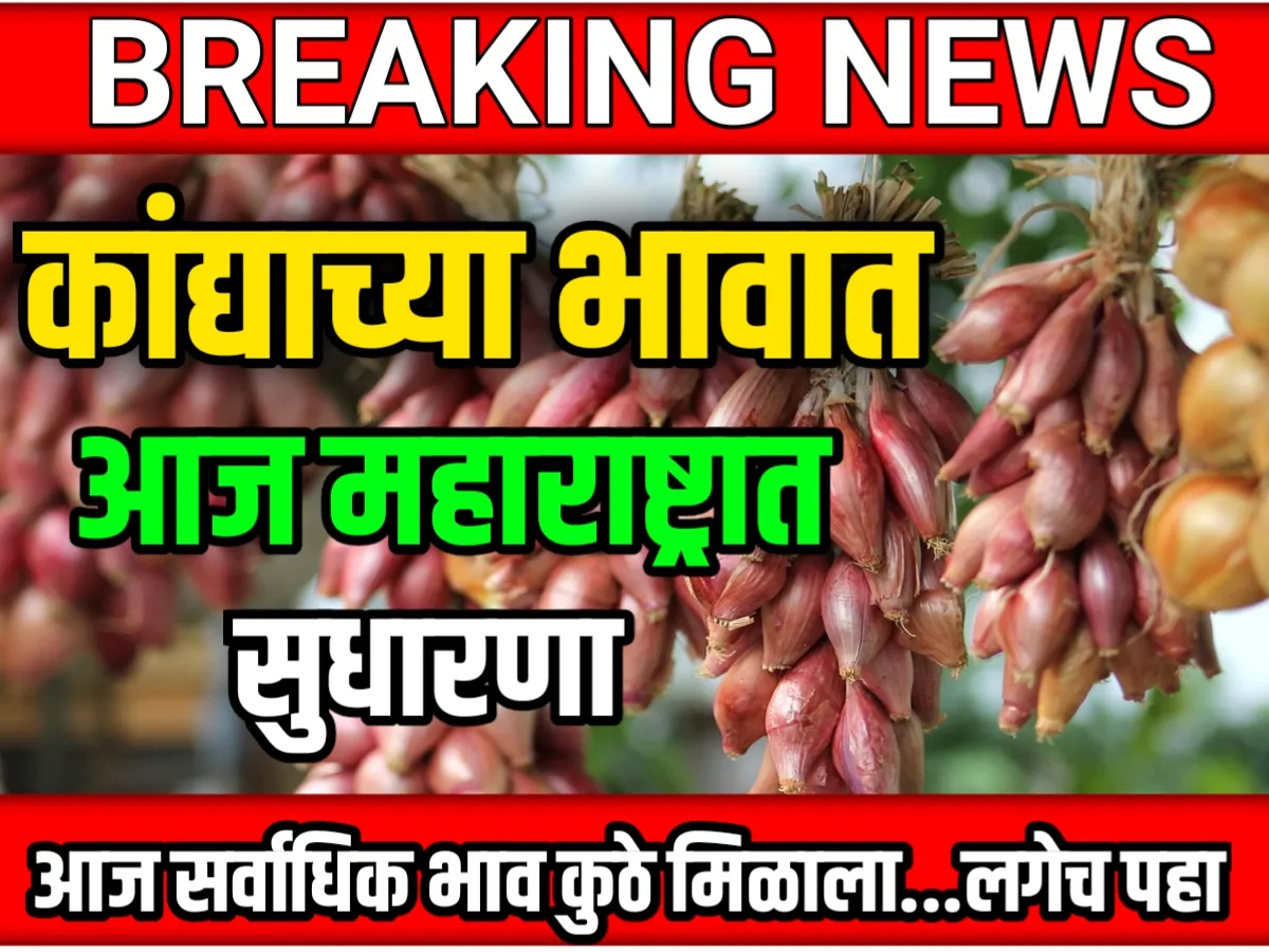 Onions Rate : आजचे कांद्याचे भाव 07 जून 2023