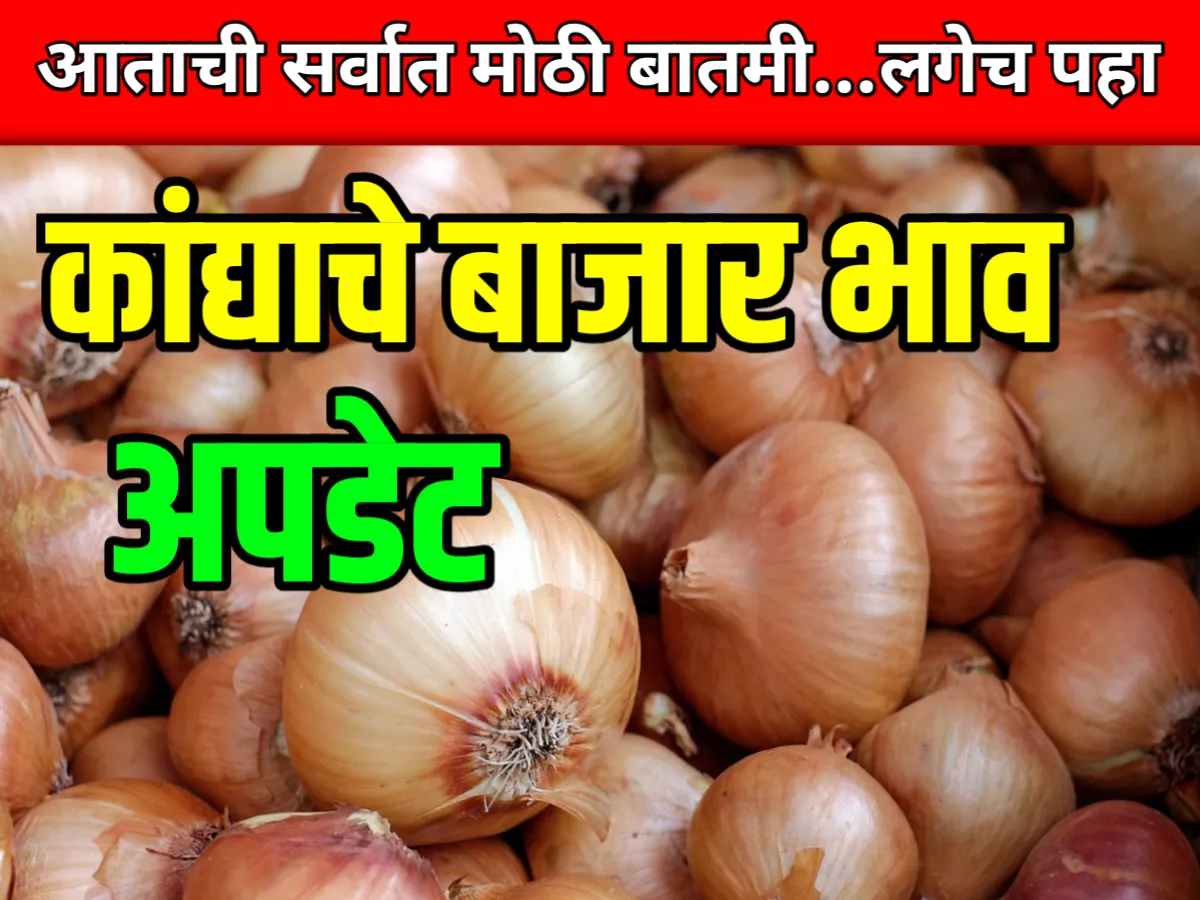 Onions Rate : आजचे कांद्याचे भाव 10 जून 2023