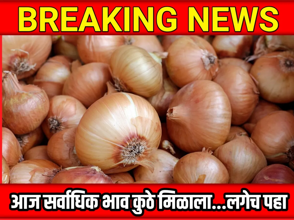 Onions Rate : आजचे कांद्याचे भाव 12 जून 2023