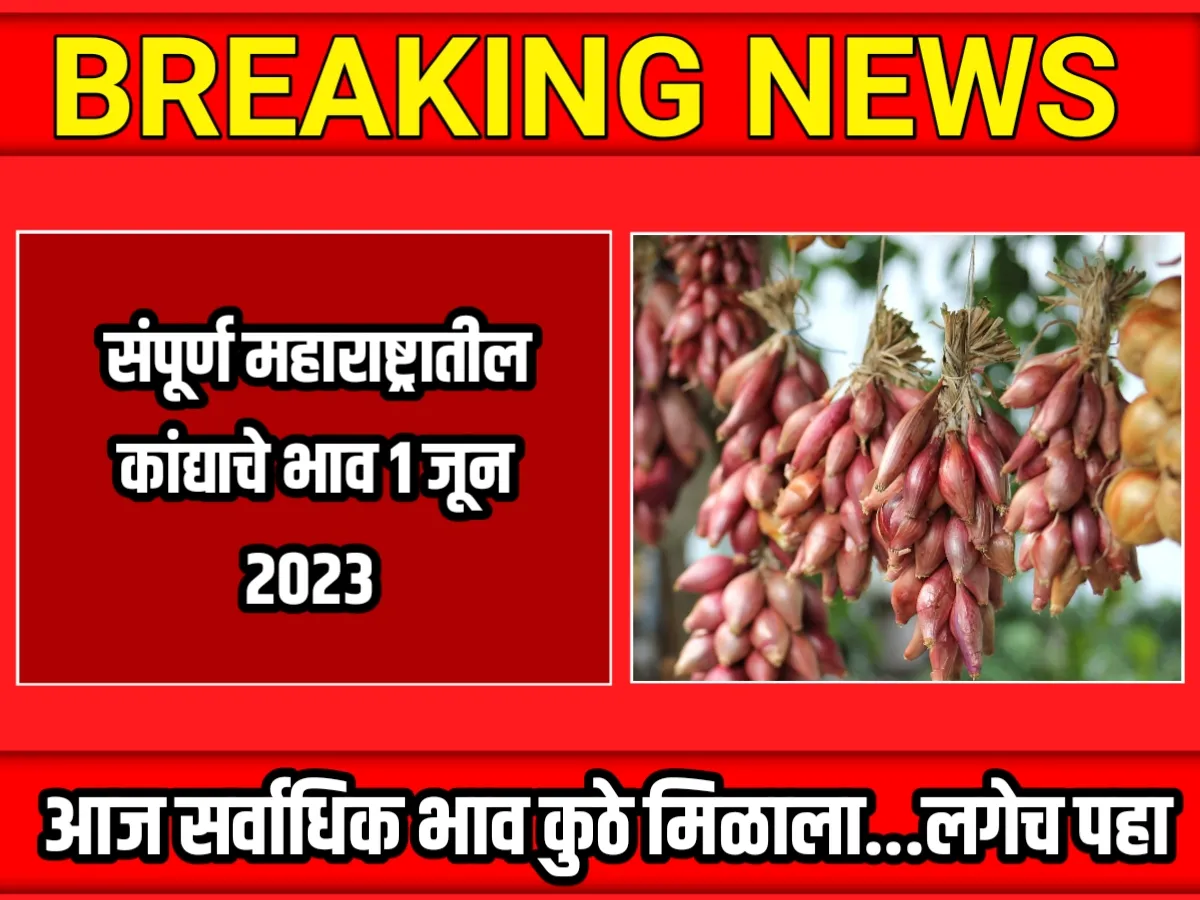 Onions Rate : आजचे कांद्याचे भाव 1 जून 2023