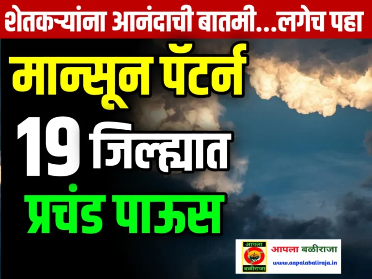 Severe Weather : 19 जिल्ह्यात आज रात्री 29 जून रोजी तीव्र पावसाचे आगमन