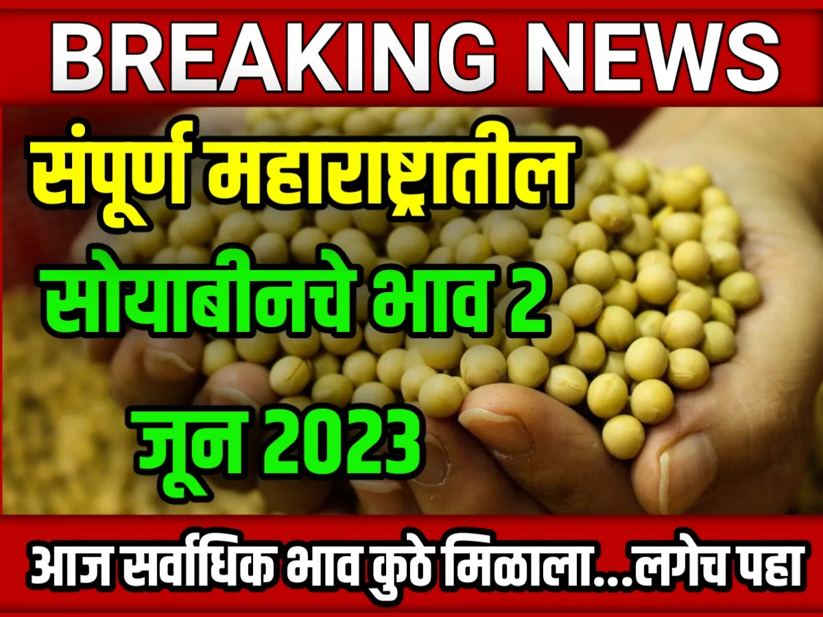 Soybean Rate : आजचे सोयाबीनचे भाव 02 जून 2023