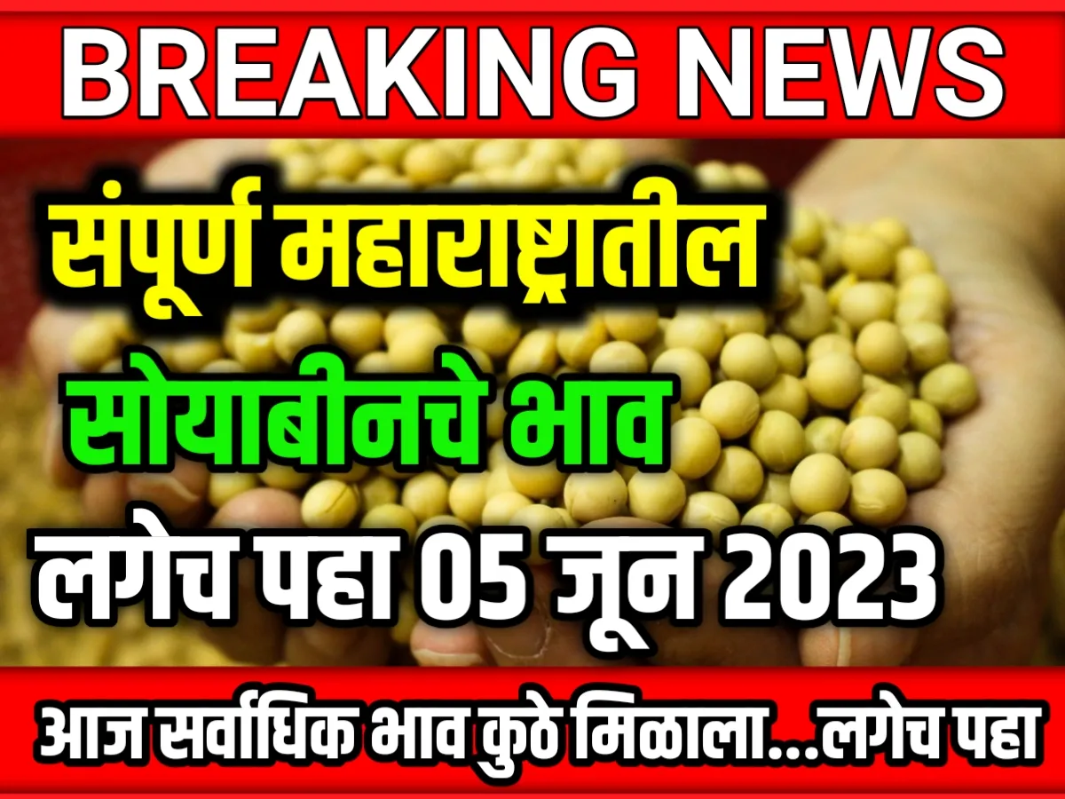 Soybean Rate : सोयाबीनचे भाव 05 जून 2023