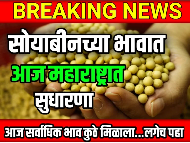 Soybean Rate : आजचे सोयाबीनचे भाव 2023 महाराष्ट्र