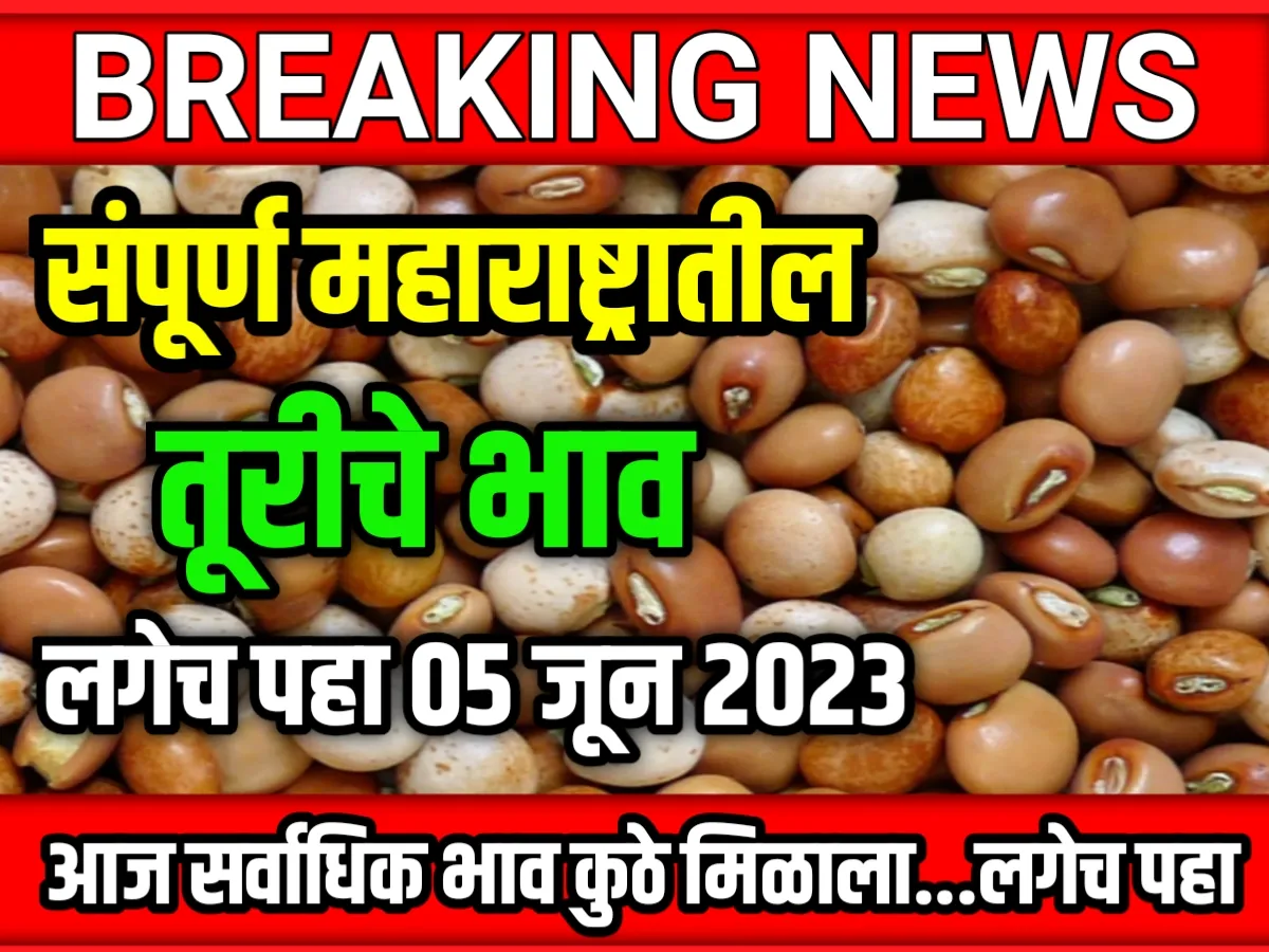 Tur Rate : आजचे तूरीचे भाव 05 जून 2023