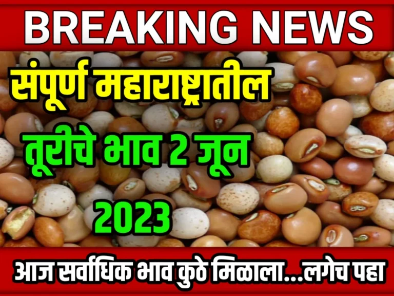 Tur Rate : आजचे तूरीचे भाव 02 जून 2023