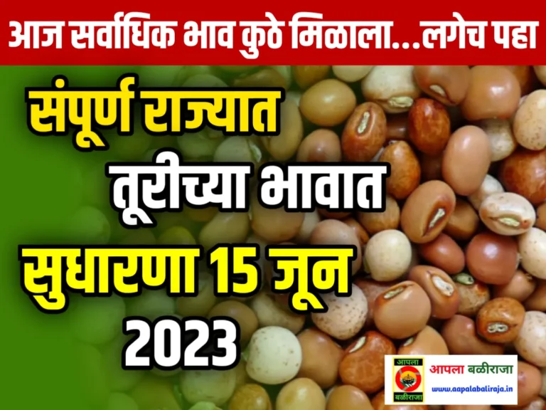 Tur Rate : आजचे तूरीचे भाव 15 जून 2023 महाराष्ट्र