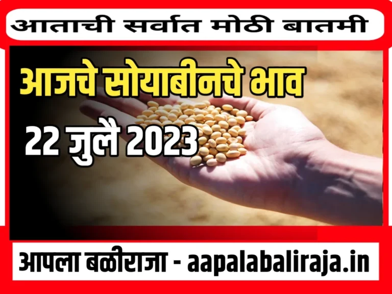 Commodity Soybean Price : आजचे सोयाबीनचे भाव 22 जुलै 2023 महाराष्ट्र