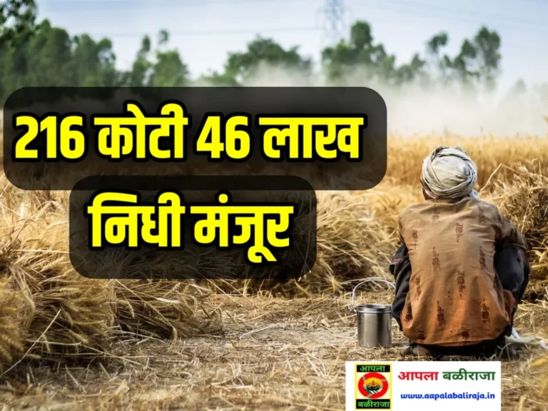 Crop Insurance : 216 कोटी 46 लाखाचा निधी मंजूर | शेतकऱ्यांच्या खात्यात कधी नुकसान भरपाई कधी जमा होणार