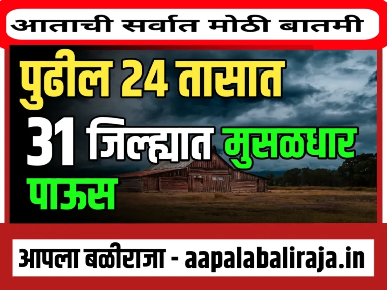 IMD : पुढील 24 तासात 31 जिल्ह्यात मुसळधार पाऊस