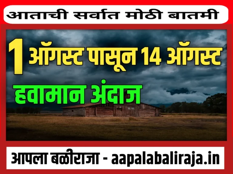 IMD : 1 ऑगस्ट पासून नवीन हवामान अंदाज | India Meteorological Department