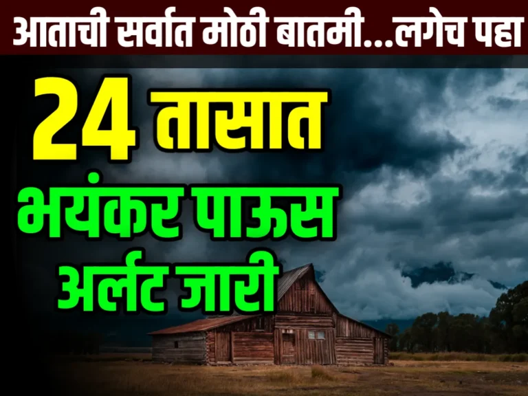 IMD Alert Update : पुढील 24 तासात या भागात मुसळधार पाऊस