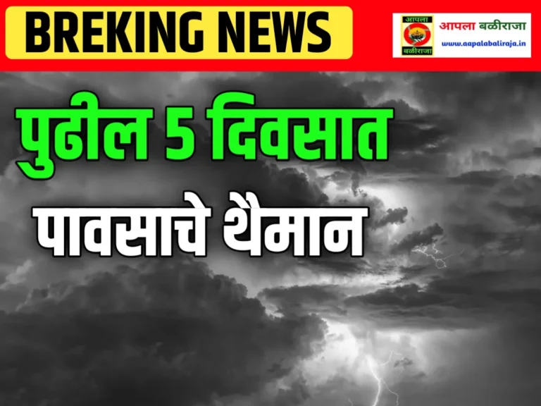 India Meteorological Department : पुढील 5 दिवसात पावसाचे थैमान