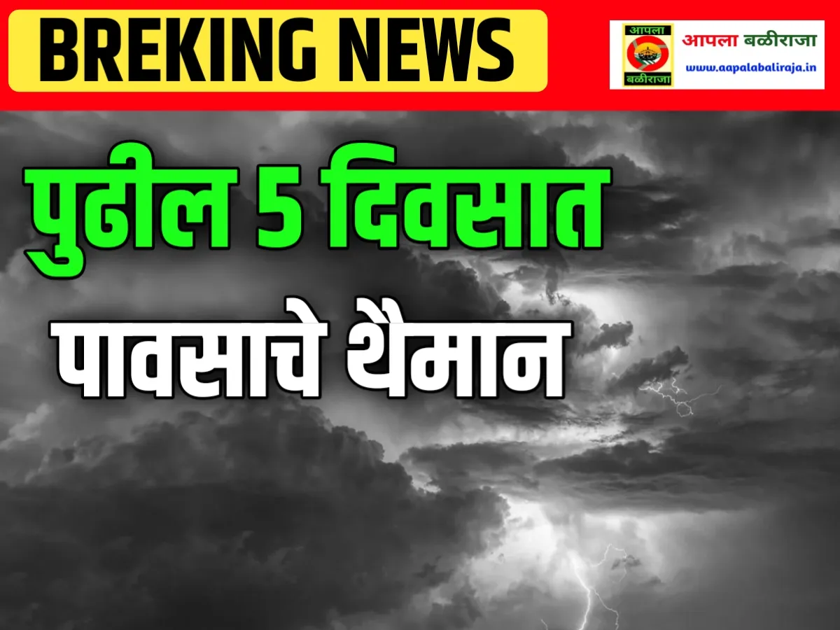 India Meteorological Department : पुढील 5 दिवसात पावसाचे थैमान