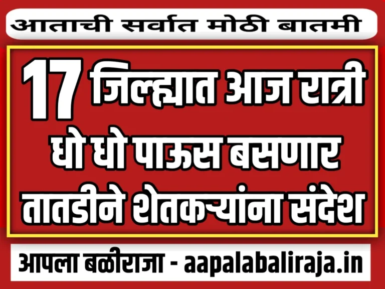 India Meteorological Department : आज रात्री 17 जिल्ह्यात धो धो पाऊस पडणार