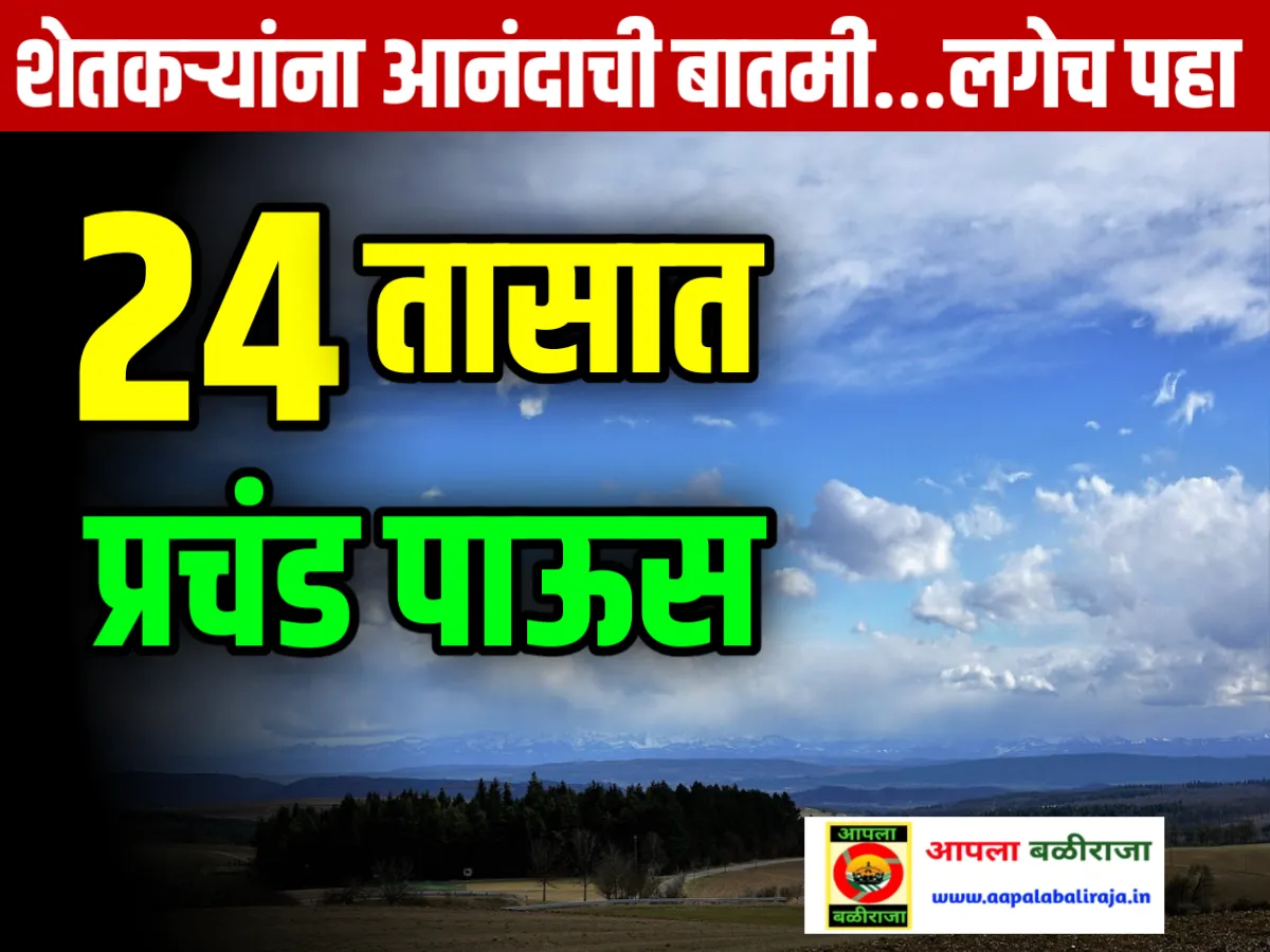 India Meteorological Department : IMD च्या अंदाज नुसार 24 तासात या भागात जोरदार पाऊस