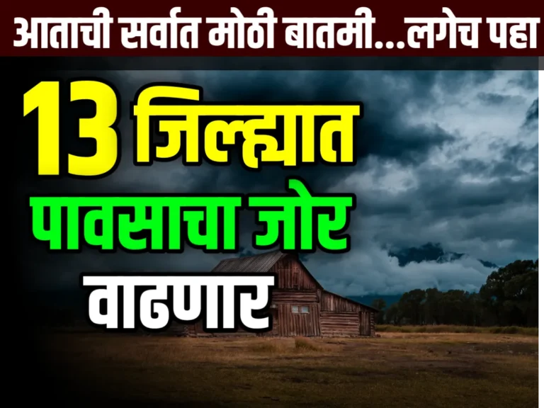 Monsoon 2023 : राज्यात पावसाचा जोर वाढणार का ?