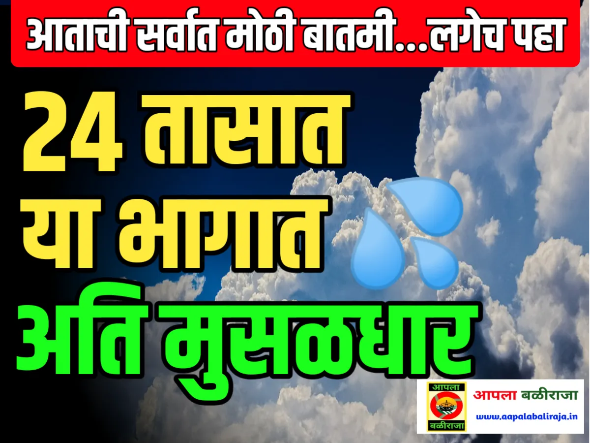 Monsoon Update Today : राज्यात अजून पावसाची किती टक्के गरज ?