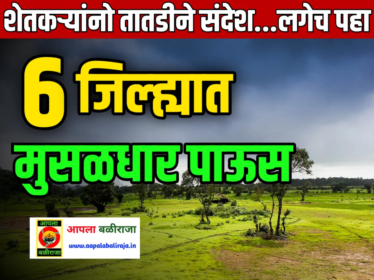 Monsoon Update Today 2023 : 4 जुलै रोजी 6 जिल्ह्यात मुसळधार पाऊस