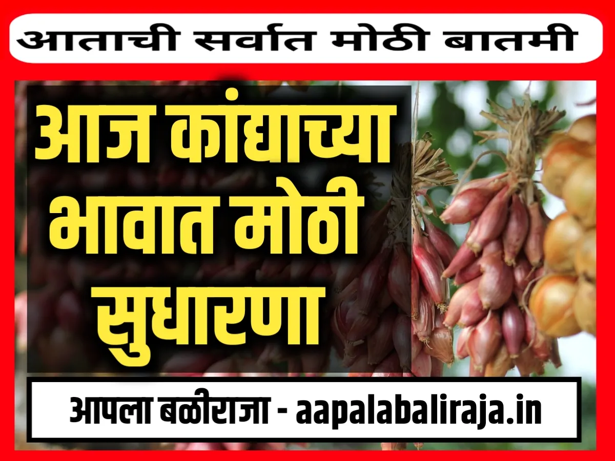 Onions Rate : आजचे कांद्याचे बाजार भाव 20 जुलै 2023 महाराष्ट्र