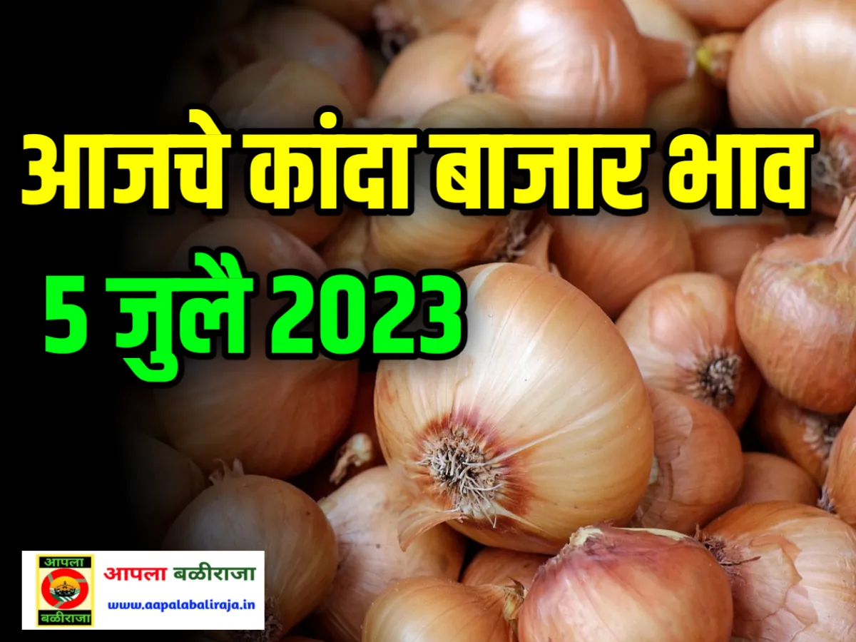 Onion Commodity Price : आजचे कांदा बाजार भाव 5 जुलै 2023 लगेच पहा