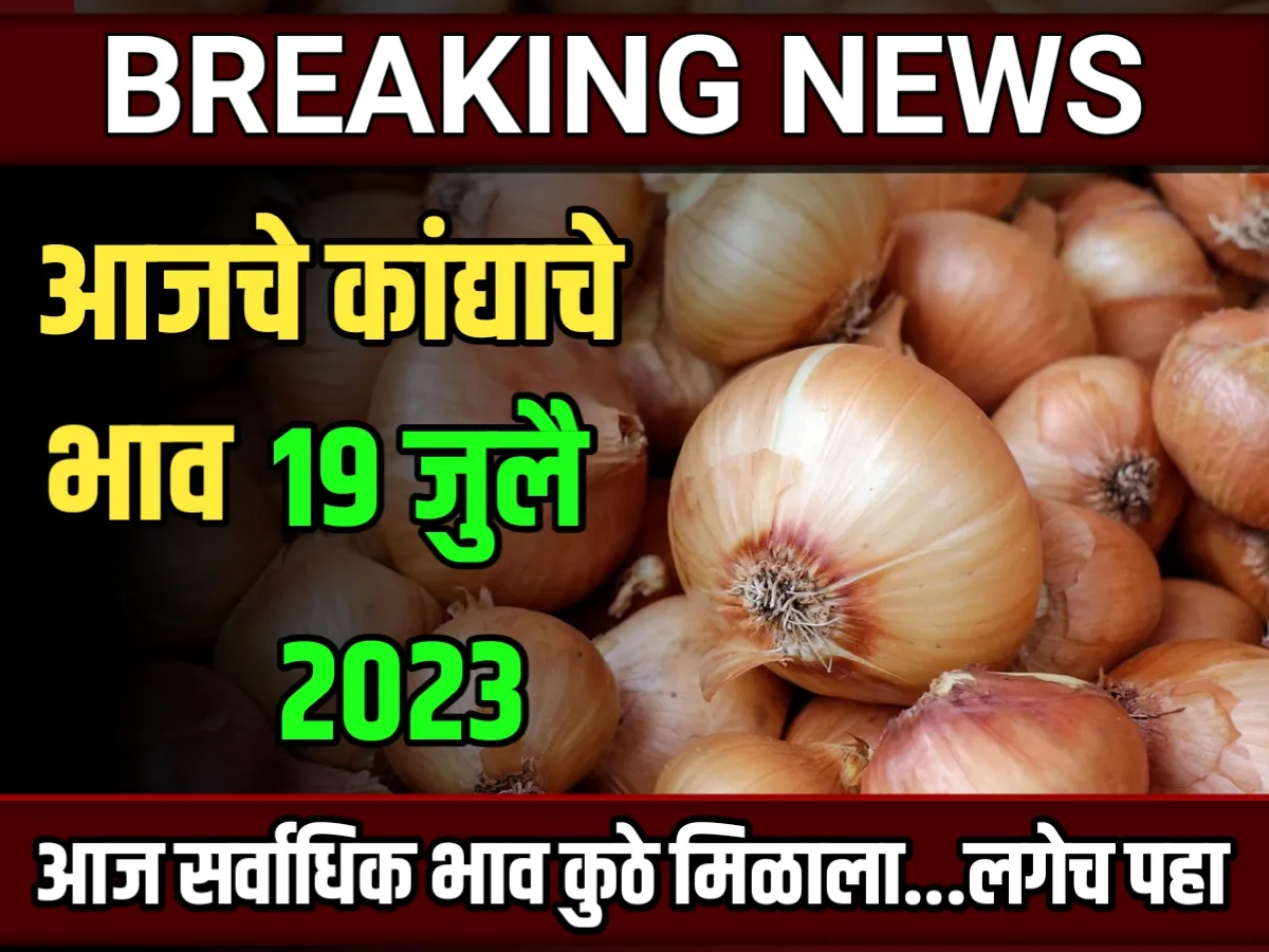 Onions Rate : आजचे कांद्याचे बाजार भाव 19 जुलै 2023 महाराष्ट्र