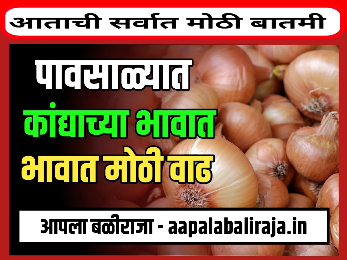 Onions Rate : पावसाळ्यातील आजचे कांद्याचे भाव 21 जुलै 2023 महाराष्ट्र