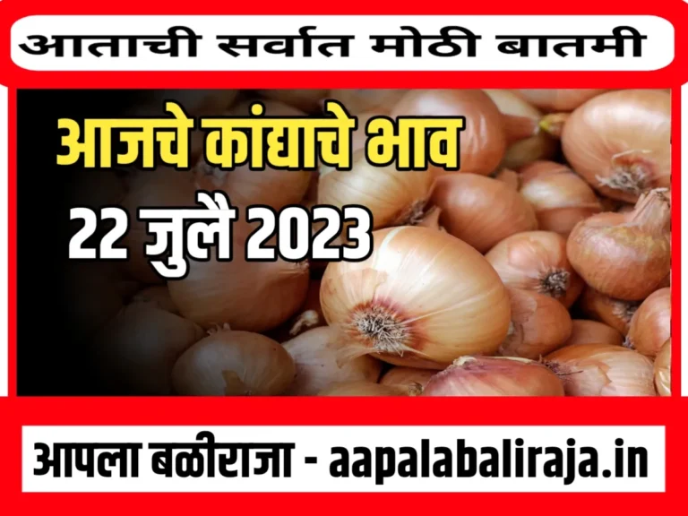 Onions Rate : आजचे कांद्याचे भाव 22 जुलै 2023 महाराष्ट्र