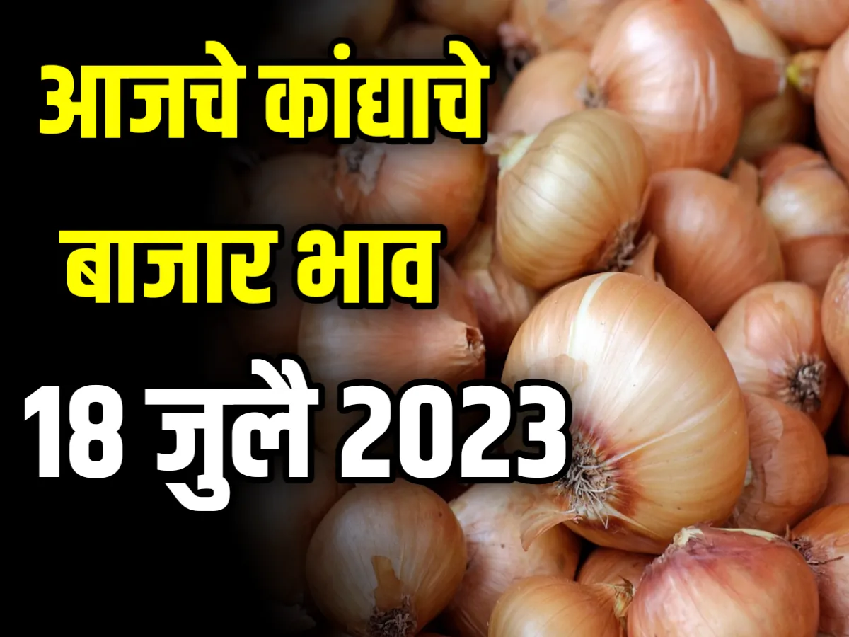 Onions Rate आजचे कांद्याचे बाजार भाव 18 जुलै 2023 महाराष्ट्र