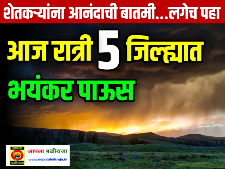 Weather Alert : आज 5 जिल्ह्यात गंभीर इशारा