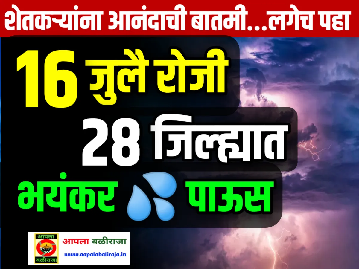 Weather News : 28 जिल्ह्यात 16 जुलै रोजी पावसाचा जोर वाढणार