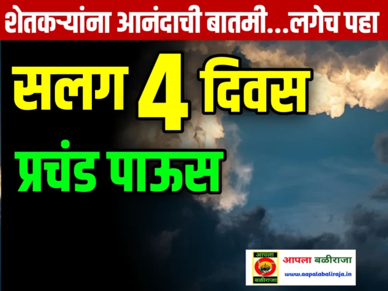 Weather Now : पुढील 4 चार दिवस राज्यात धो धो पाऊस बरसणार