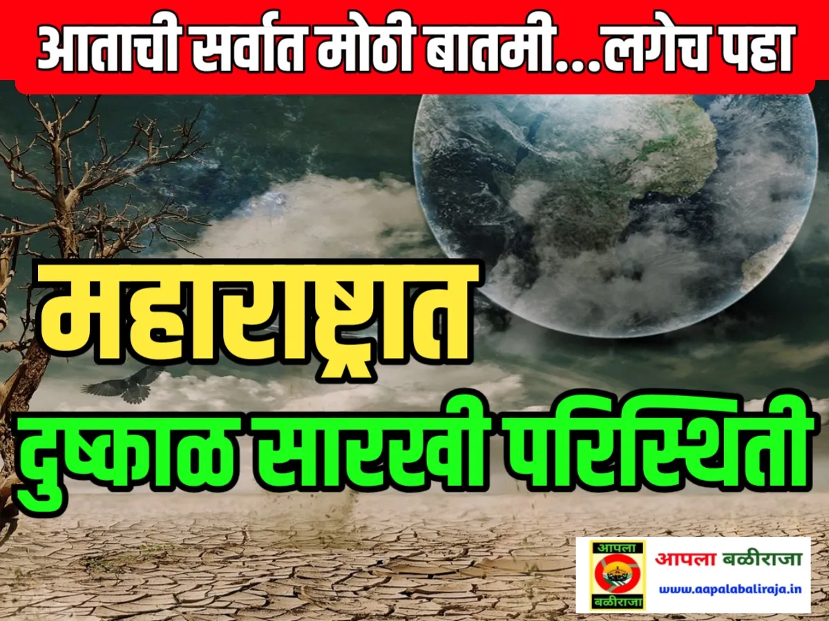 India Meteorological Department : IMD ने नवीन हवामान अंदाज जारी