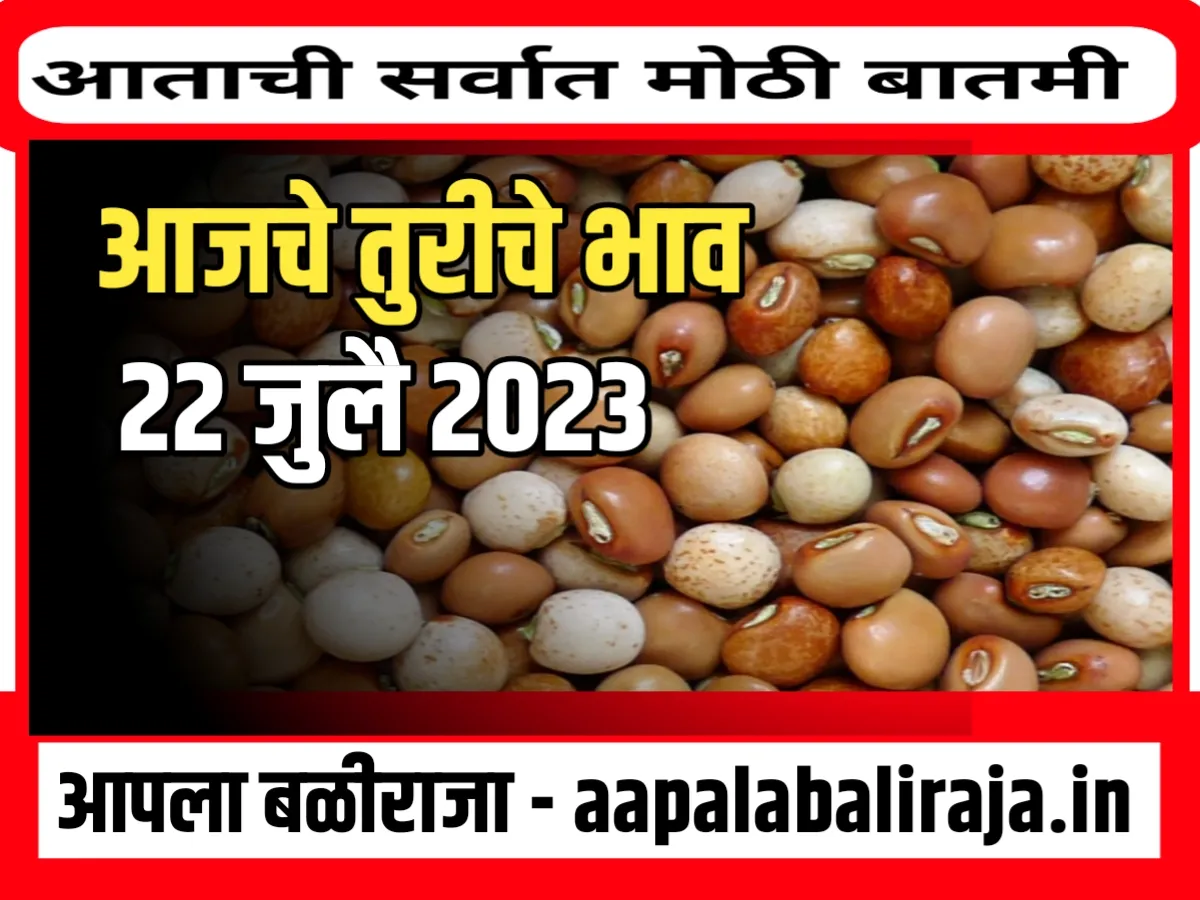 Tur Rate : आजचे तूरीचे बाजार भाव 22 जुलै 2023 महाराष्ट्र