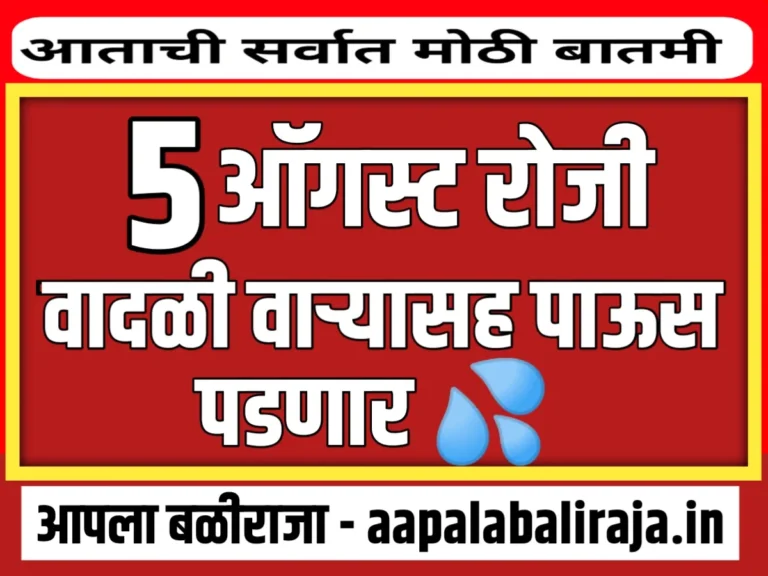 IMD : आज 5 ऑगस्ट रोजी या जिल्ह्यात मुसळधार पाऊस पडणार