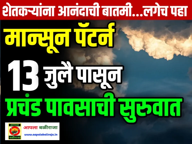 India Meteorological Department : 13 ऑगस्ट पासून राज्यात मुसळधार पाऊस पडणार