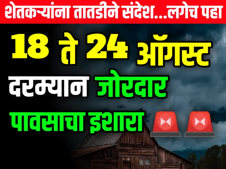 India Meteorological Department : 18 ते 24 ऑगस्ट दरम्यान या भागात पाऊस पडणार