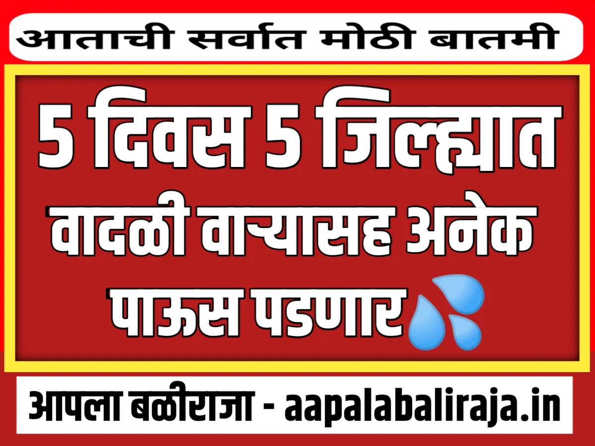 India Mteorological Department : 5 दिवस 5 जिल्ह्यात पडणार मुसळधार पाऊस