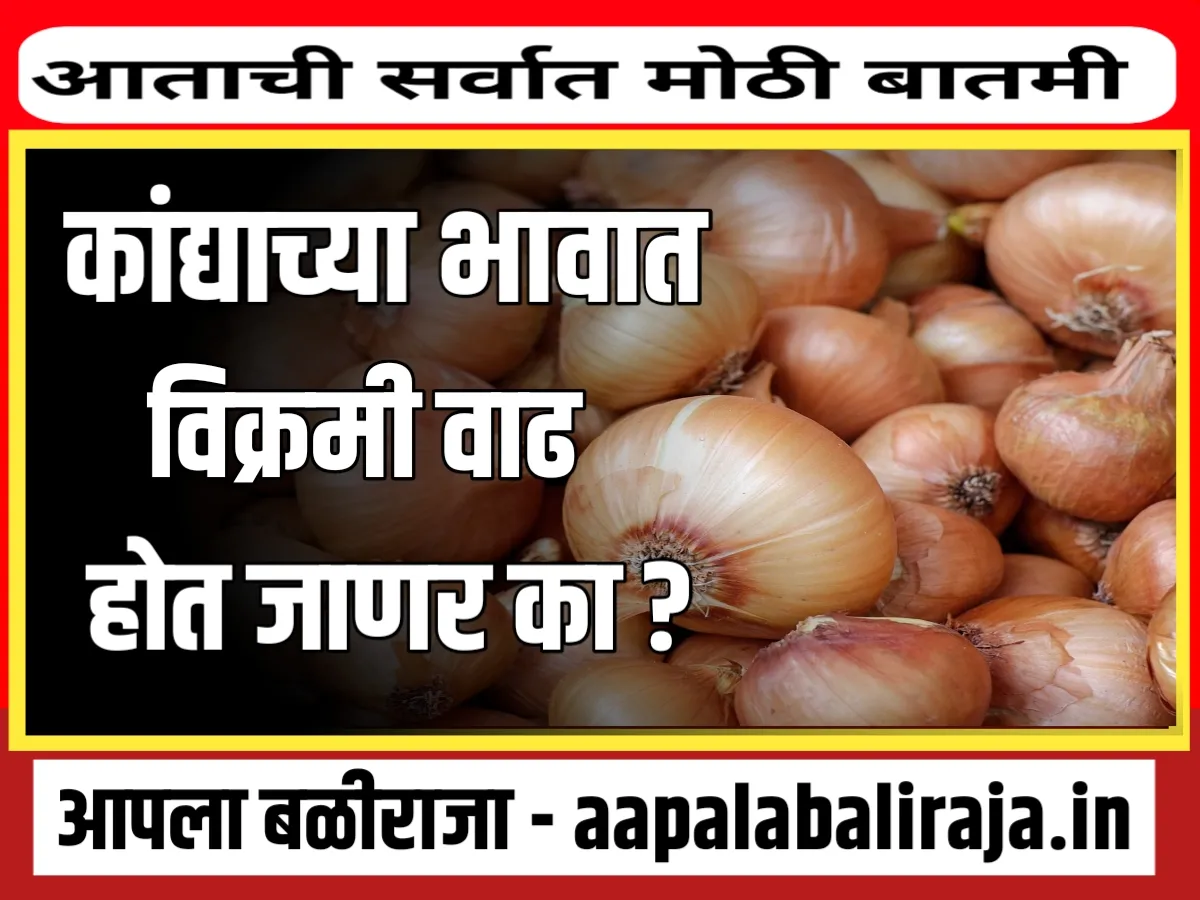 Onion Market Today : कांद्याच्या भावात वाढ होणार ?