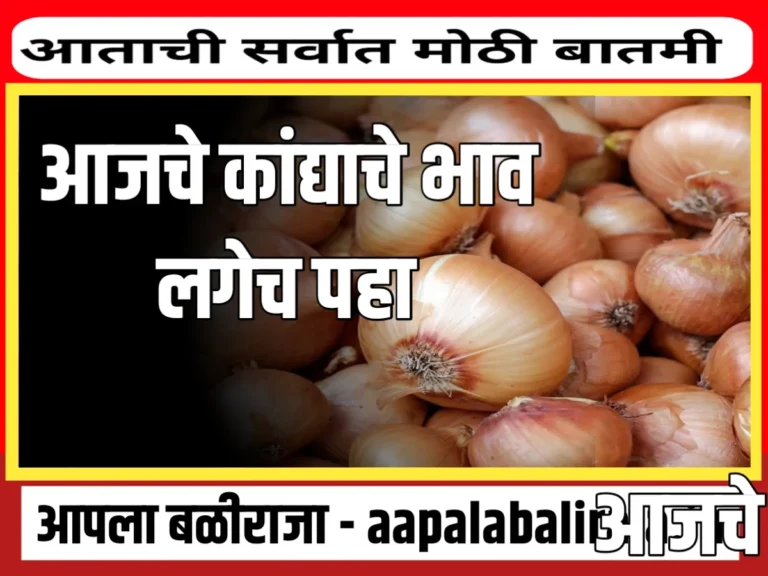 Onions Rate आजचे कांद्याचे भाव 9 ऑगस्ट 2023