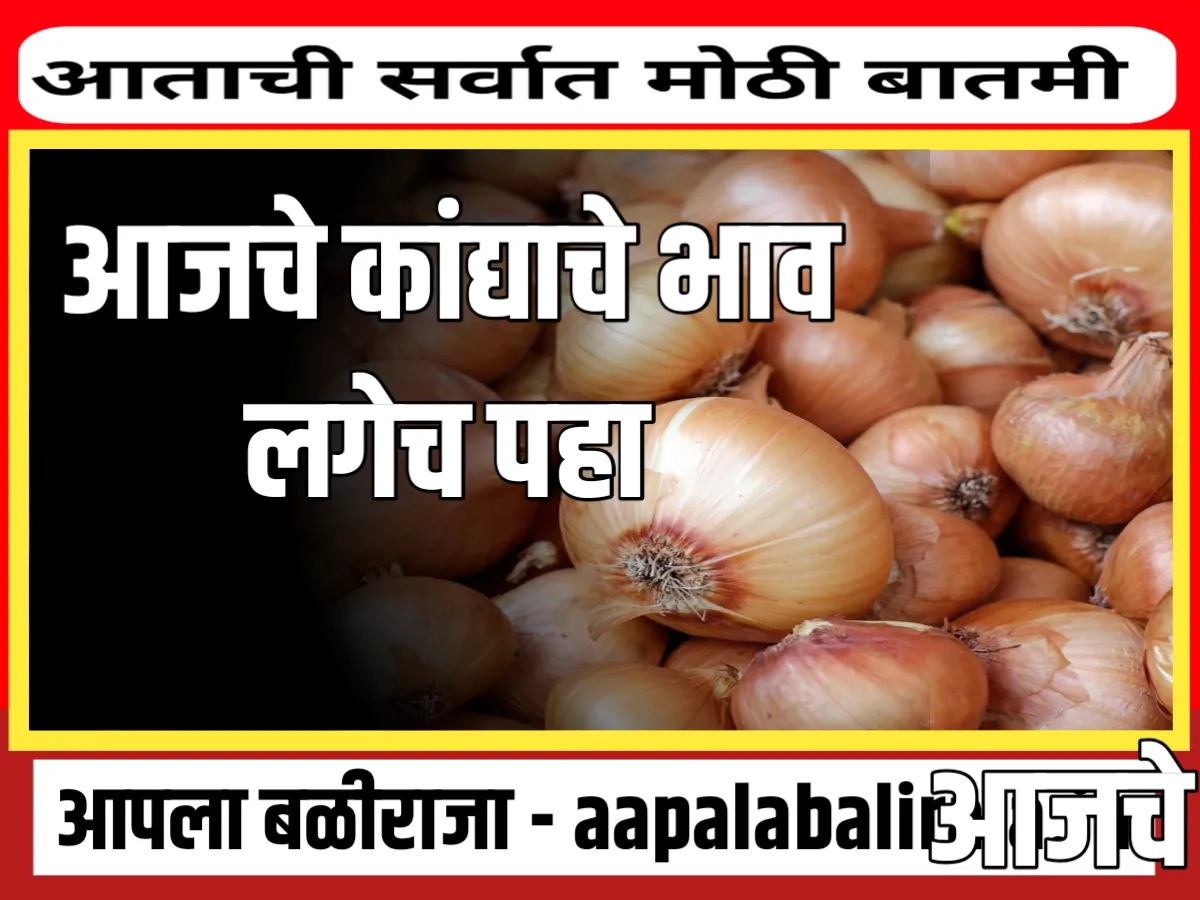 Onions Rate  आजचे कांद्याचे भाव 9 ऑगस्ट 2023