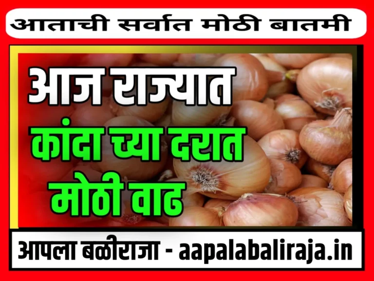 Onions Rate : आजचे कांद्याचे भाव 14 ऑगस्ट 2023