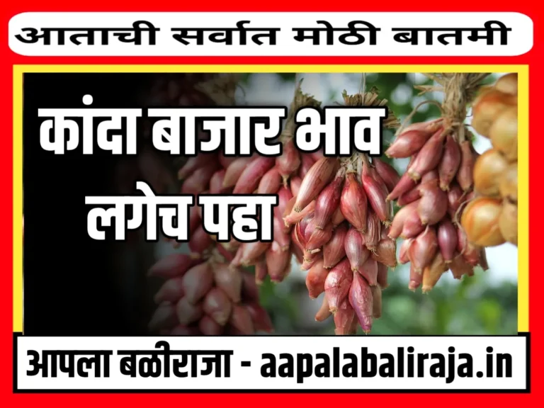 Onions Rate : आजचे कांद्याचे भाव 16 ऑक्टोबर 2023 महाराष्ट्र