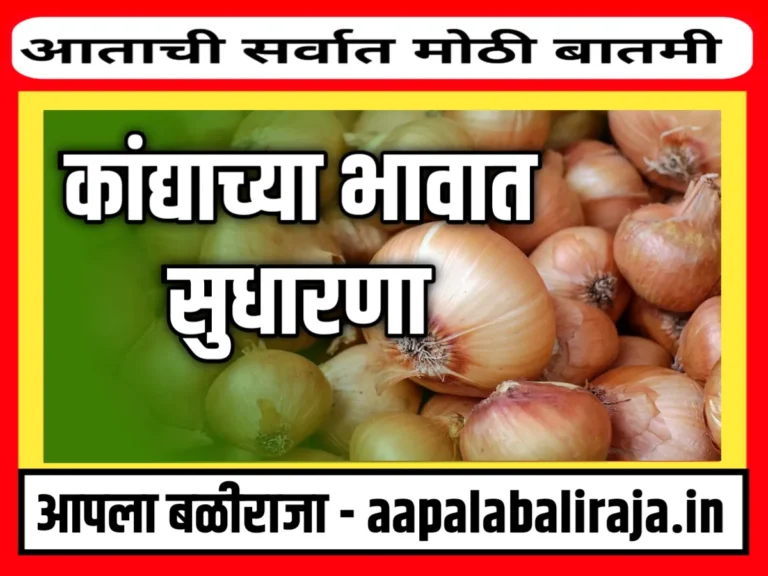 Onions Rate : आजचे कांद्याचे भाव 18 ऑगस्ट 2023 महाराष्ट्र