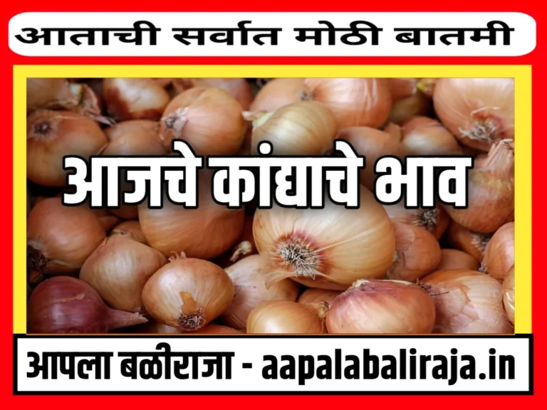 Onions Rate : आजचे कांद्याचे भाव 21 ऑगस्ट 2023