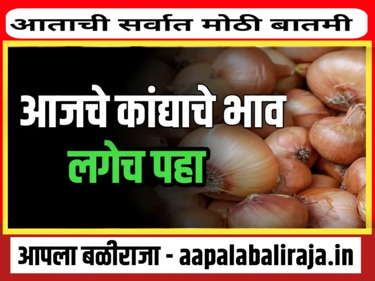 Onions Rate : आजचे कांद्याचे भाव 25 ऑगस्ट 2023 महाराष्ट्र