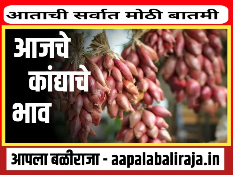 Onions Rate : आजचे कांद्याचे भाव 29 ऑगस्ट 2023 महाराष्ट्र