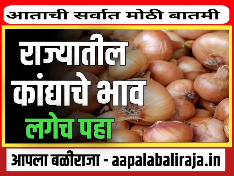 Onions Rate Today : आजचे कांद्याचे भाव 30 ऑक्टोबर 2023