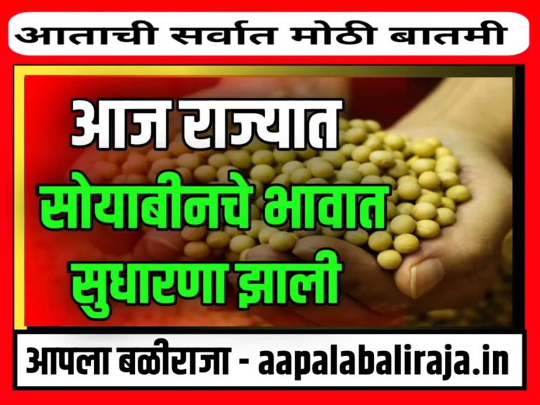 Soybean Rate : आजचे हरभराचे भाव 14 ऑगस्ट 2023